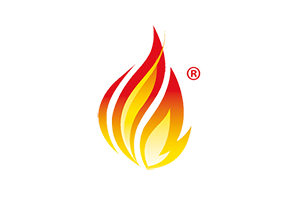 FHIR logo