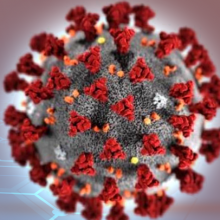 Coronavirus