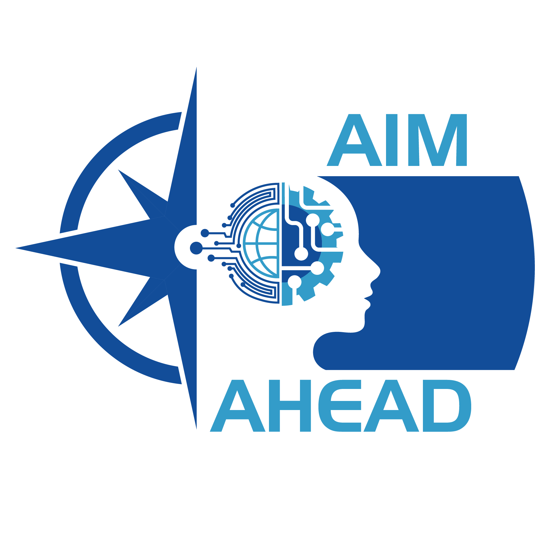 AIM-AHEAD graphic identity