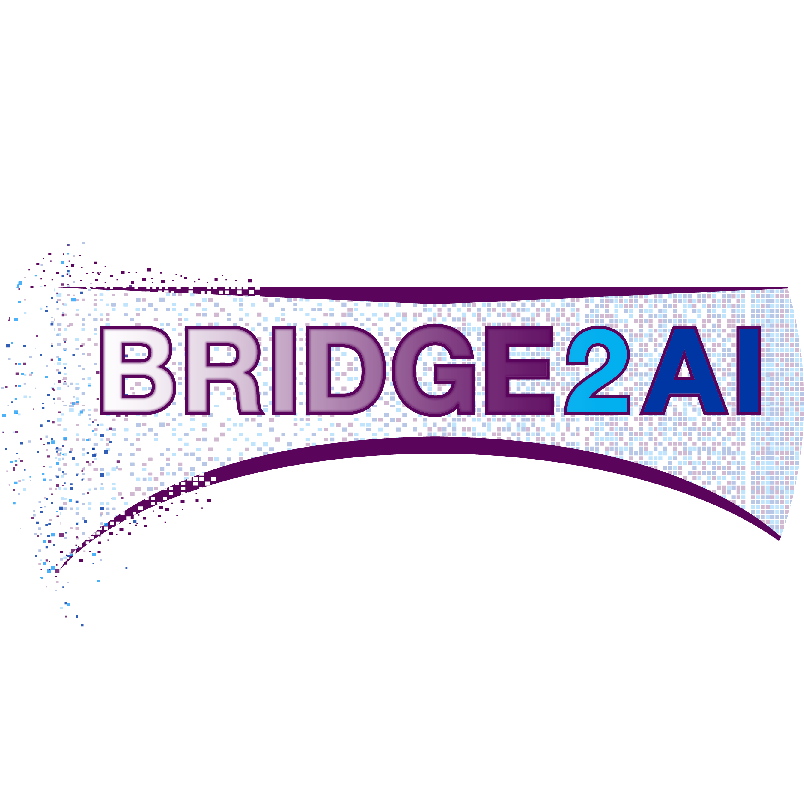 Bridge2AI graphic identity