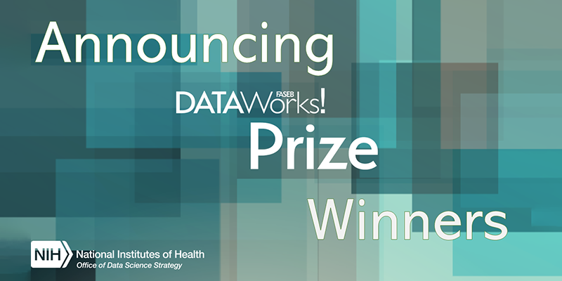 Announcing DataWorks! Prize Winners