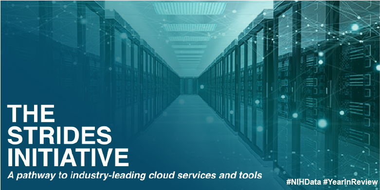The STRIDES Initiative. A pathway to industry leading cloud services and tools.