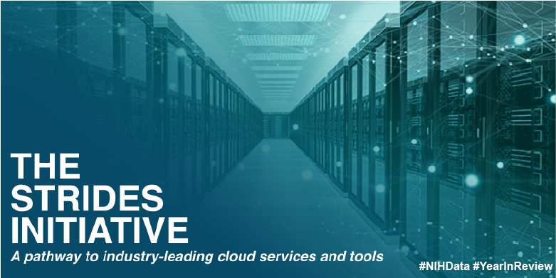 The STRIDES Initiative. A pathway to industry leading cloud services and tools.