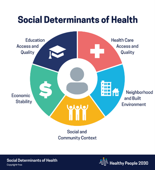 The five social determinants of health