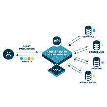 Cancer Data Aggregator (CDA)