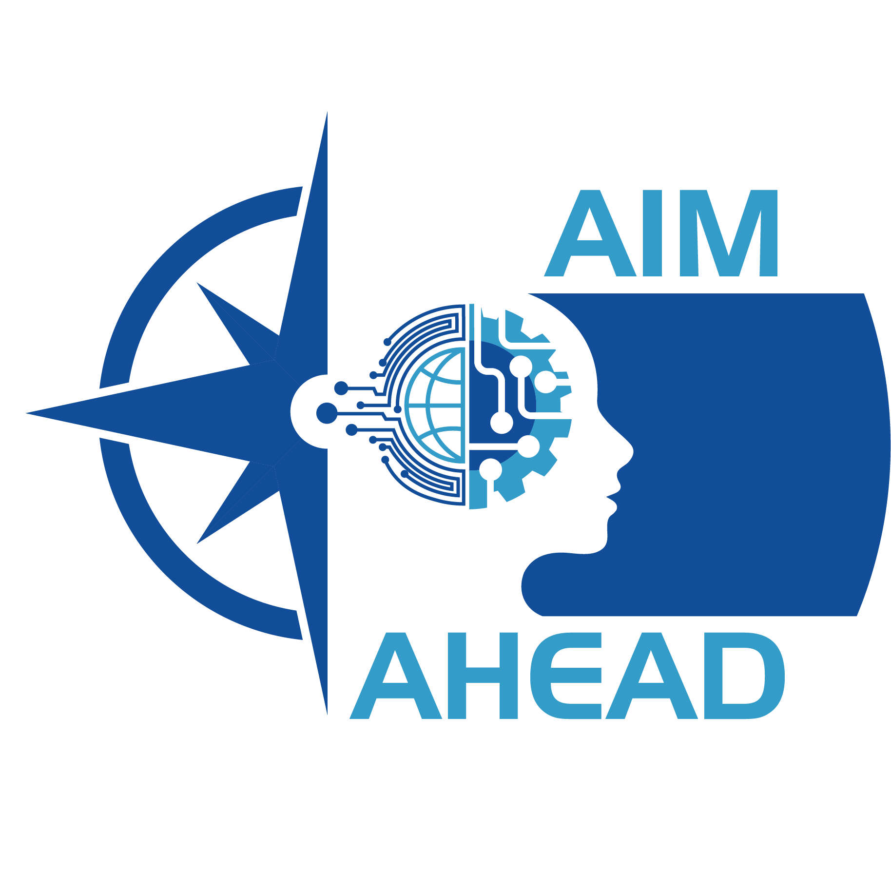 AIM-AHEAD graphic identity