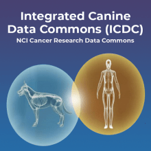 Integrated Canine Data Commons (ICDC)