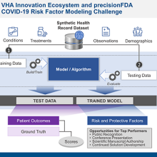 VHA Innovation Ecosystem Graphic