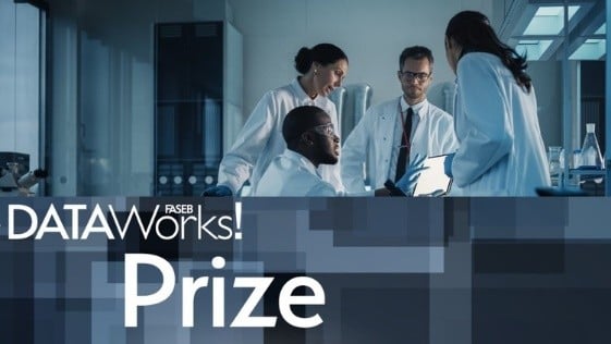 DataWorks! Prize year one image