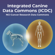 Integrated Canine Data Commons (ICDC)