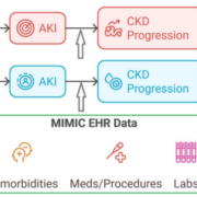 Diagram comparing two patient pathways (female and male) from AKI to CKD progression and death, informed by MIMIC EHR data including demographics, comorbidities, medications/procedures, labs, vitals, and fluids.